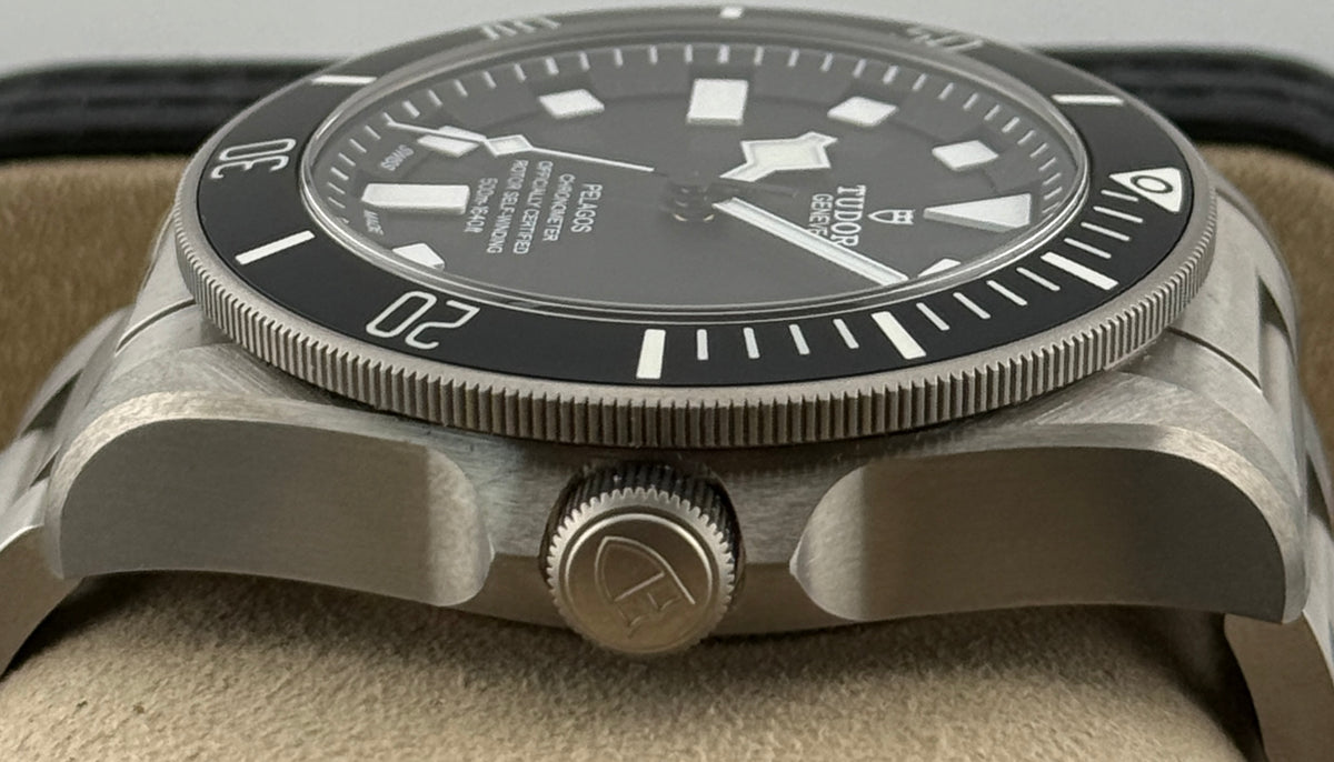 Tudor Pelagos 25600TN