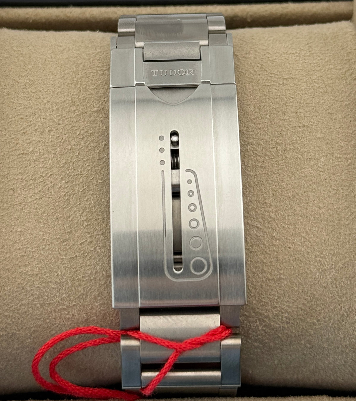 Tudor Pelagos 25600TN